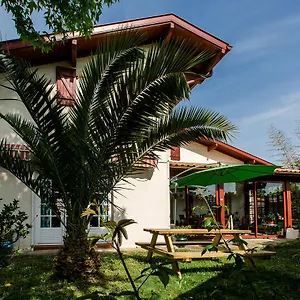 Nami House ホステル